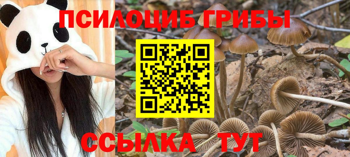 Псилоцибиновые грибы мухоморы Киреевск