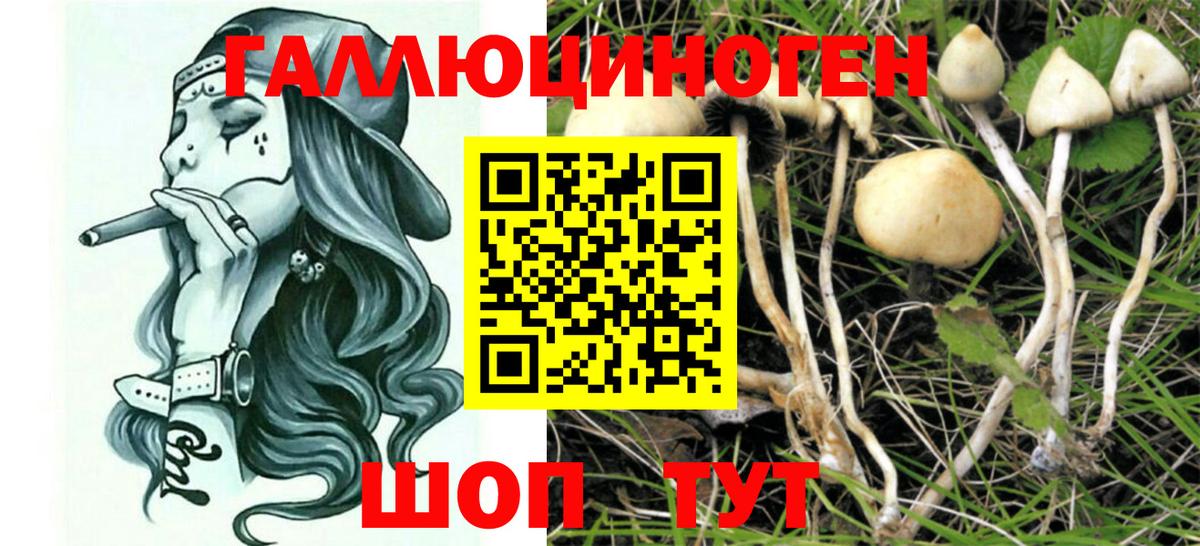 Галлюциногенные грибы MAGIC MUSHROOMS  Вход с VPN  Киреевск 